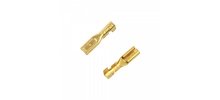dboys-copper-motor-connectors-db063